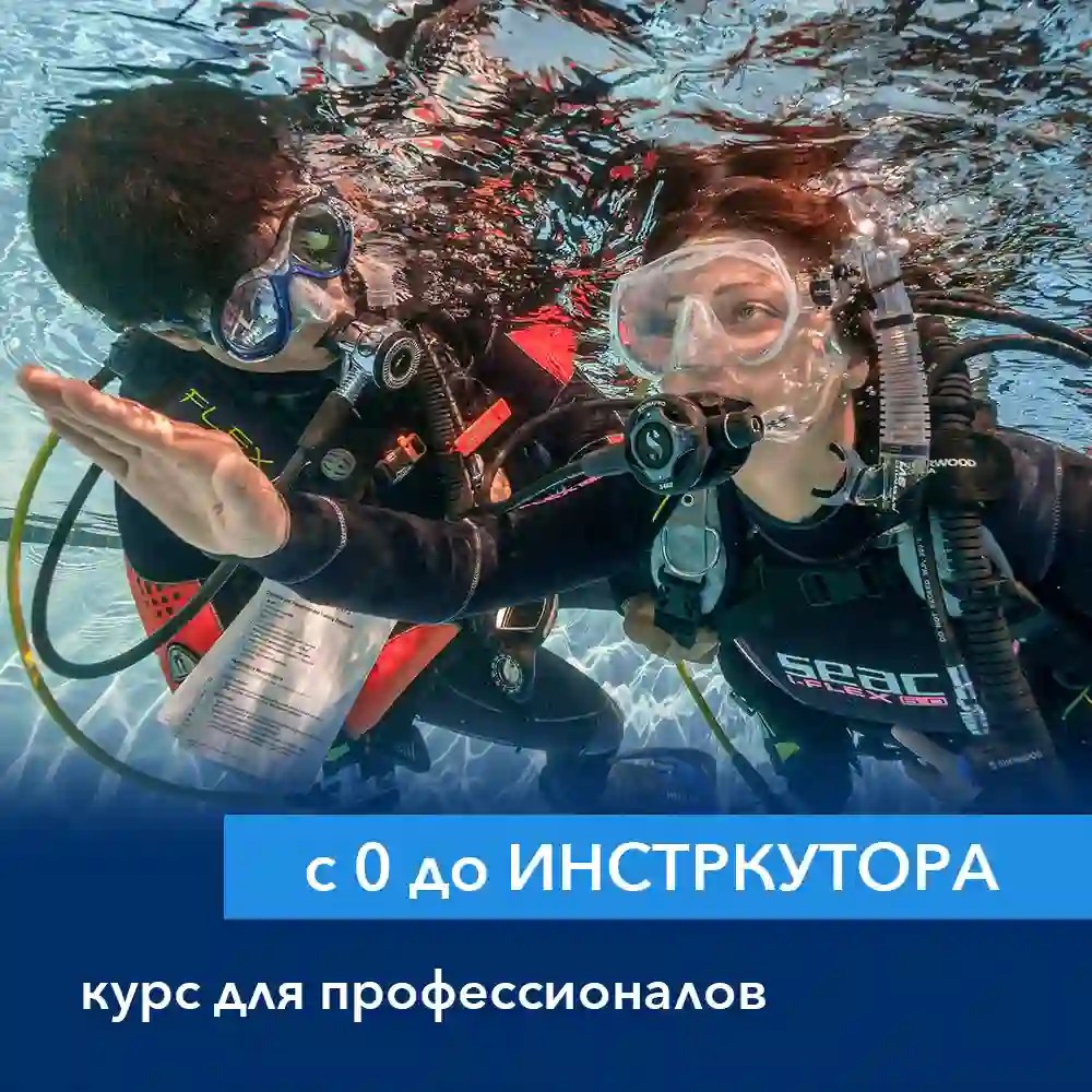 Курс с нуля и до инструктора NDL
