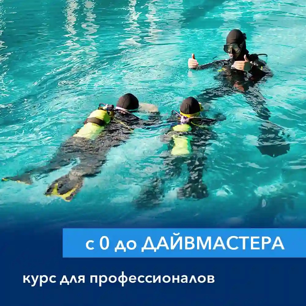 Курс с нуля и до Дайвмастера