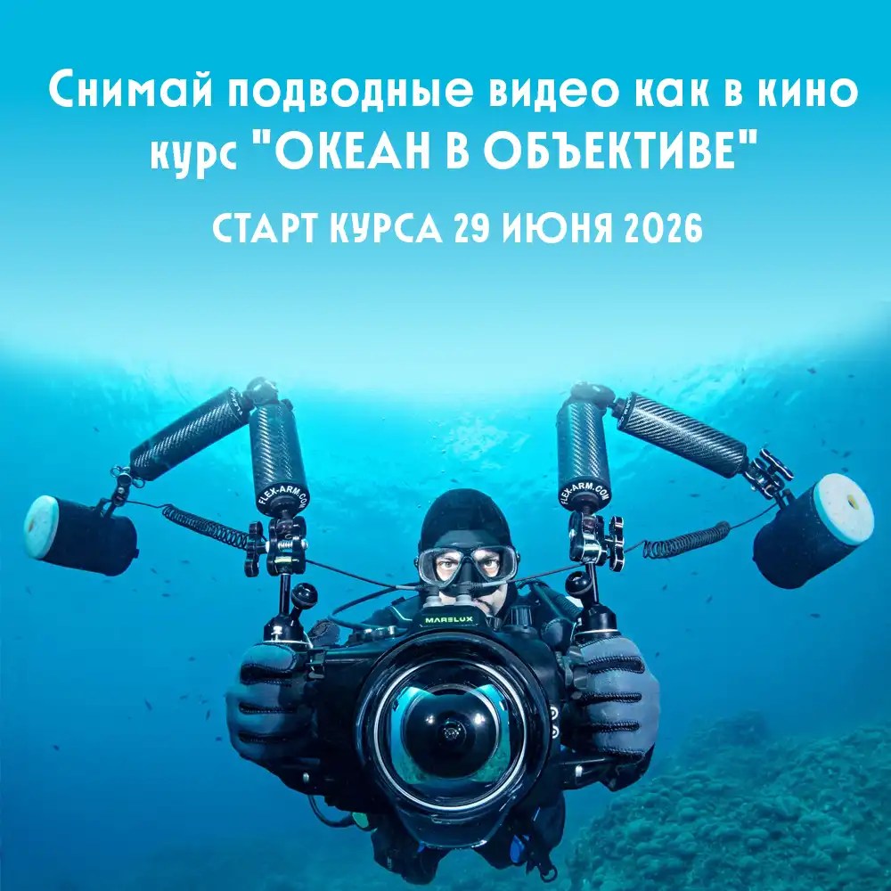 Практический курс по подводной видеосъемке «Океан в объективе»