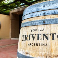 Trivento é o vinho argentino mais vendido