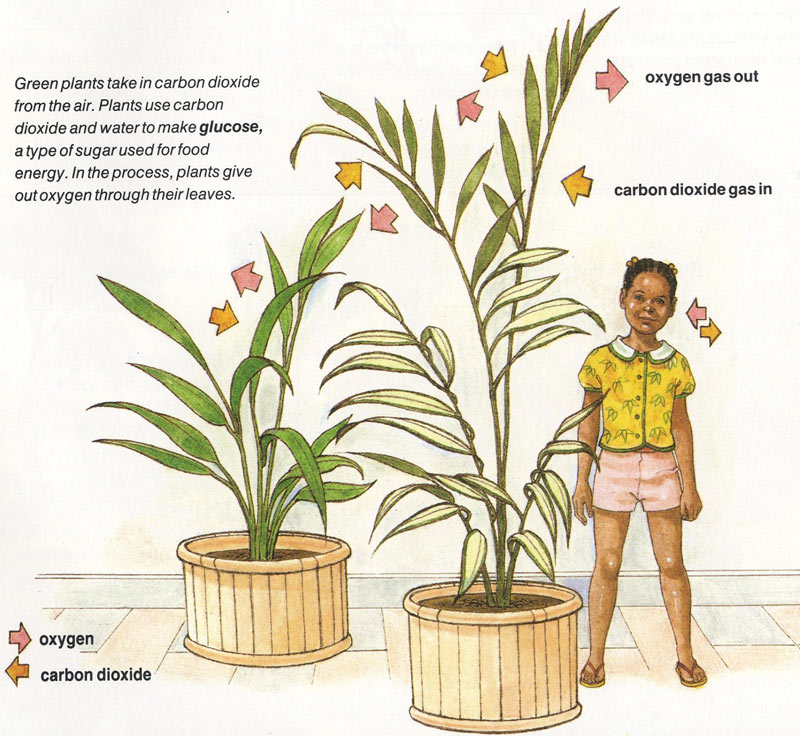 What is Air Made of? - composition of air for kids