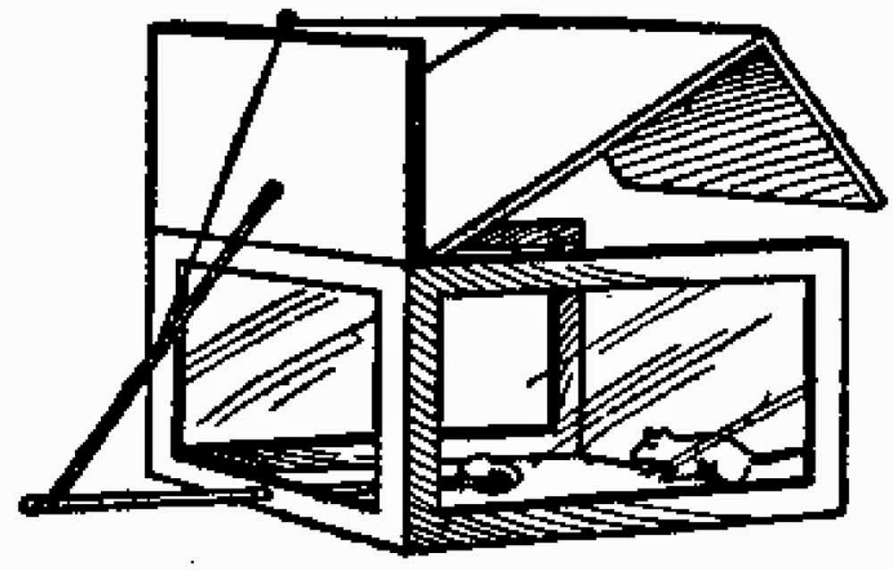 Read more about the article How to Make Traps for Small Animals – One of the Easiest Traps to Build