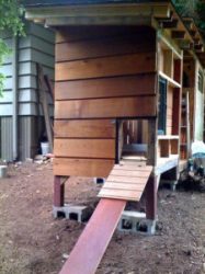 ramp chicken coop should diy coops elevated shelter know things