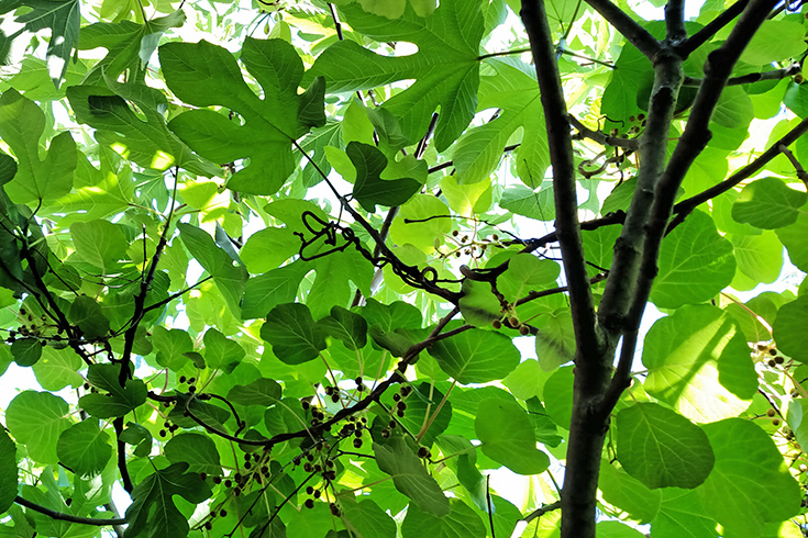 Weekend Inspiration No. 3