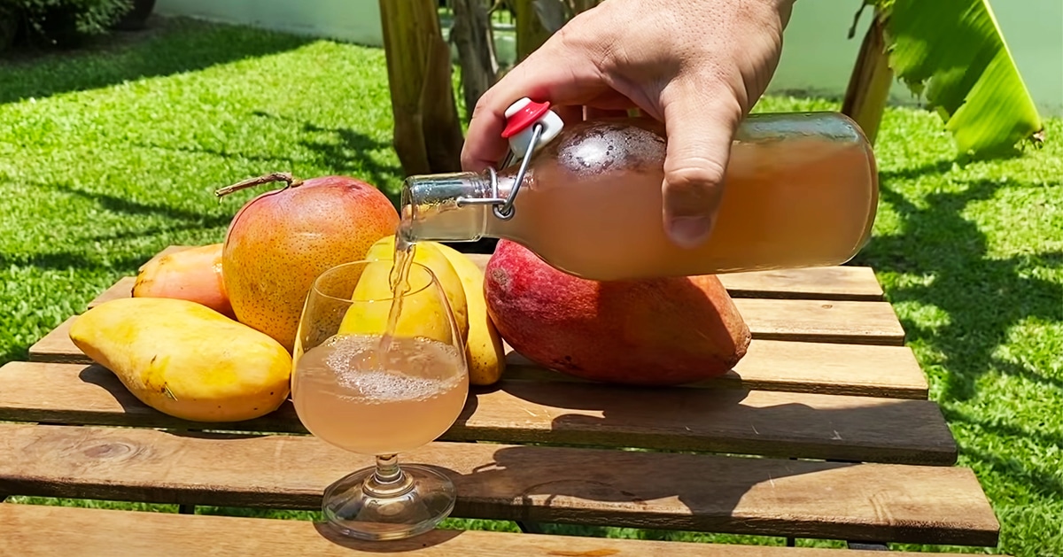 images Mango Wine Recipe Kerala Style mango wine recipe