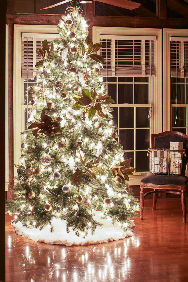 Eleven Gables Choosing The Perfect Slim Tree For A Tight Space