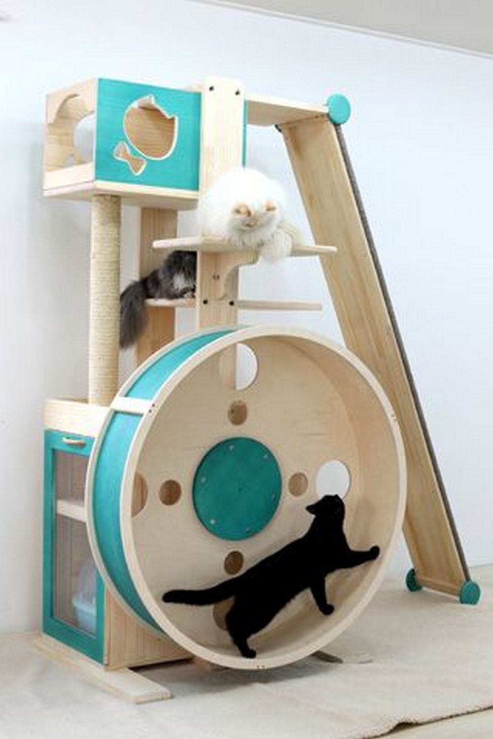 Building your own purrfect cat exercise wheel: 3 fun facts