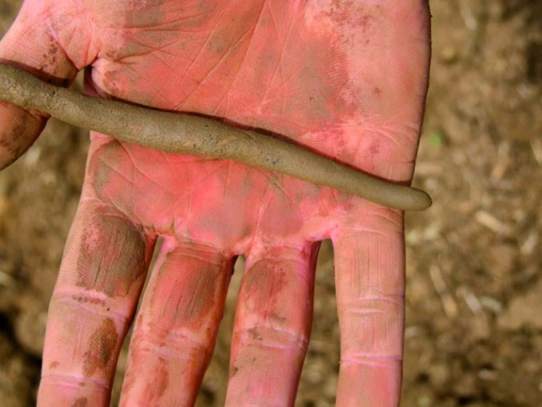 soil plasticity