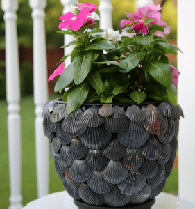Cheap DIY Garden Ideas to Transform your Garden: Garden Update