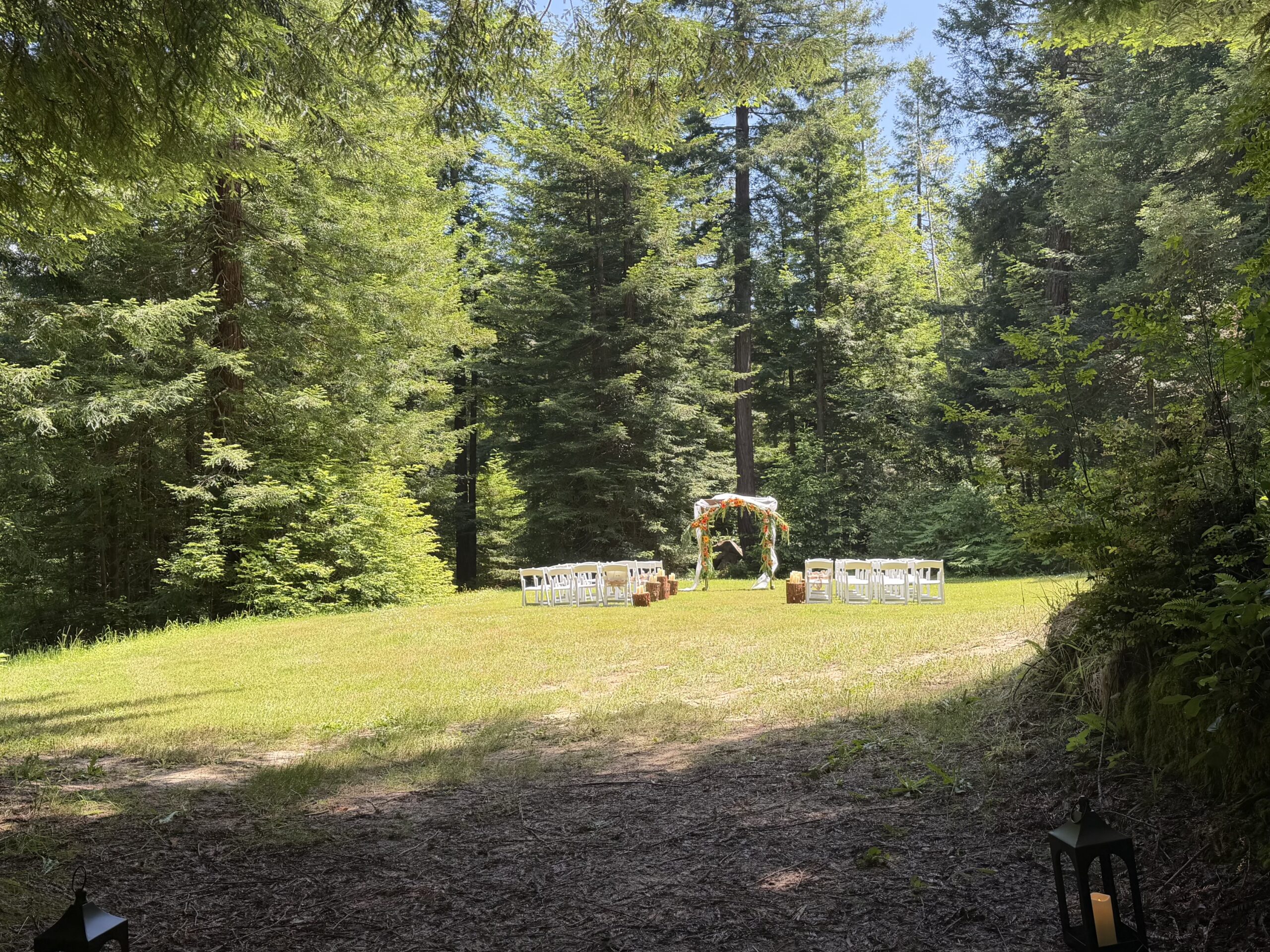 Outdoor wedding ceremony set among towering redwood trees, with white chairs and a flower-covered arbor.