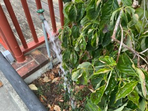 Clear water flowing from an outdoor spigot at a DIY wedding site.