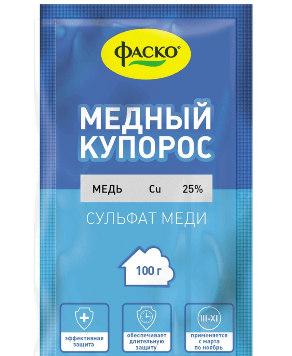 Как подготовить лук-севок к посадке: прогревание и замачивание