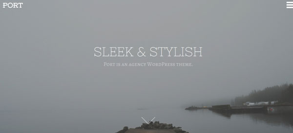 15 Stunning Parallax WordPress Themes to Inspire You 11
