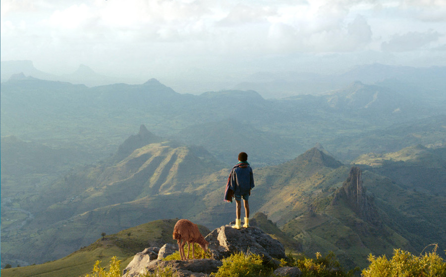 Lamb Yared Zeleke film ethiopien Djolo Cinema