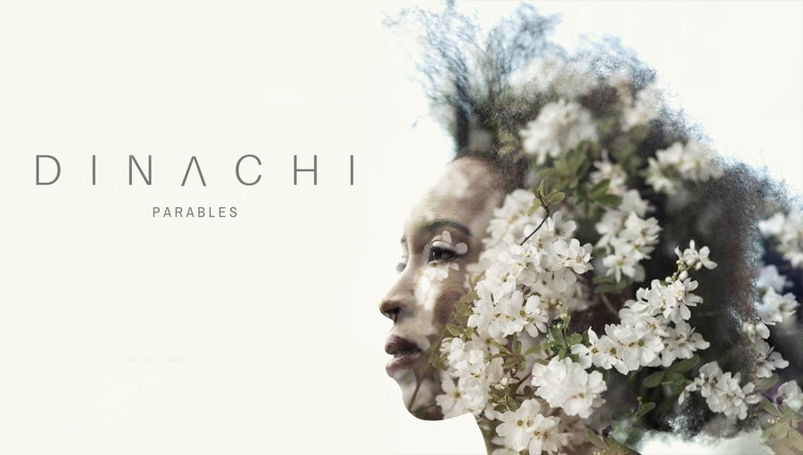 Dinachi Parables
