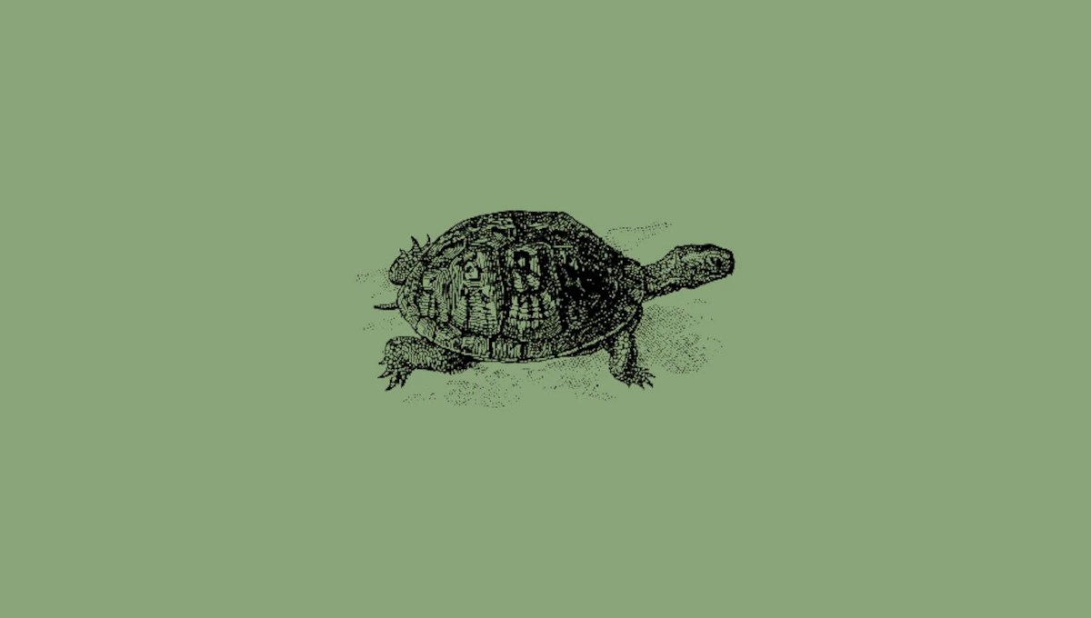 Christopha, Better Late than Never, grime, rap, uk, uk garage