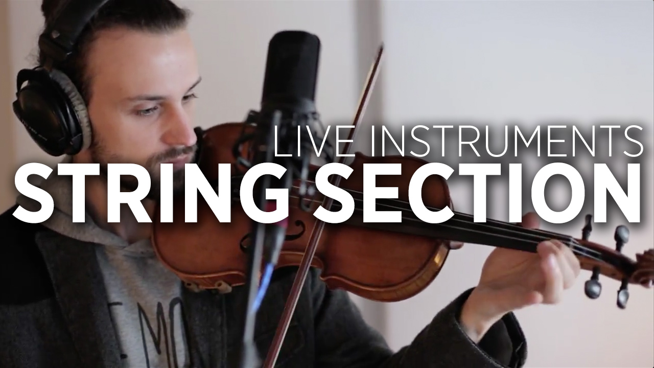 Strings section. Strings section