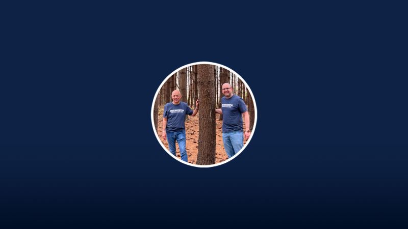 Our Annual Tree Planting Program Initiative Dk Solutions - Ultra HD Nature Illustrations for Desktop