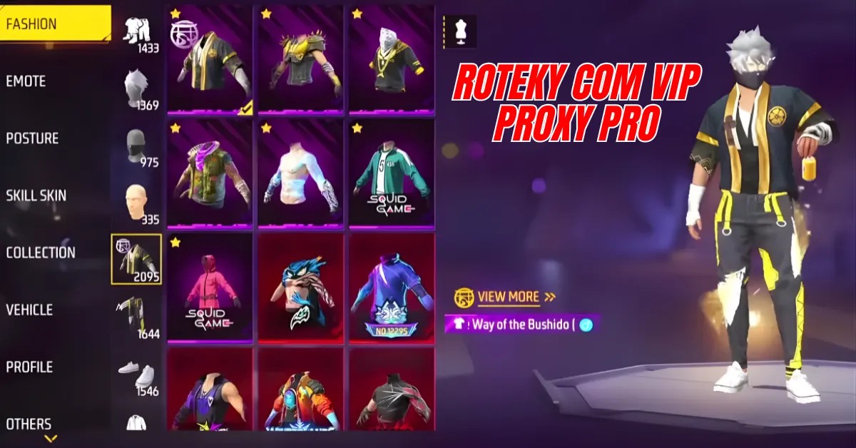 roteky com Vip Proxy Pro