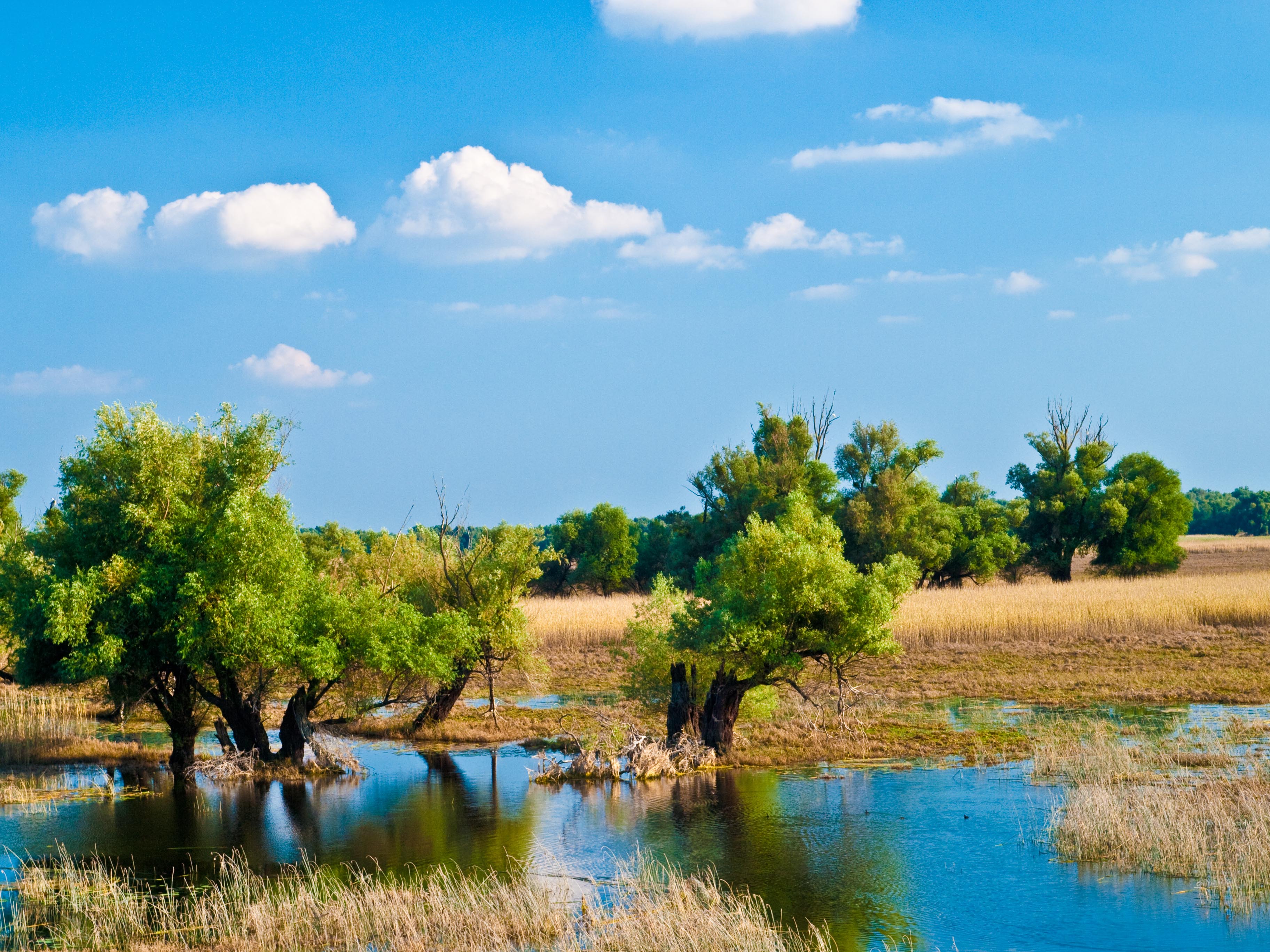 Baranja