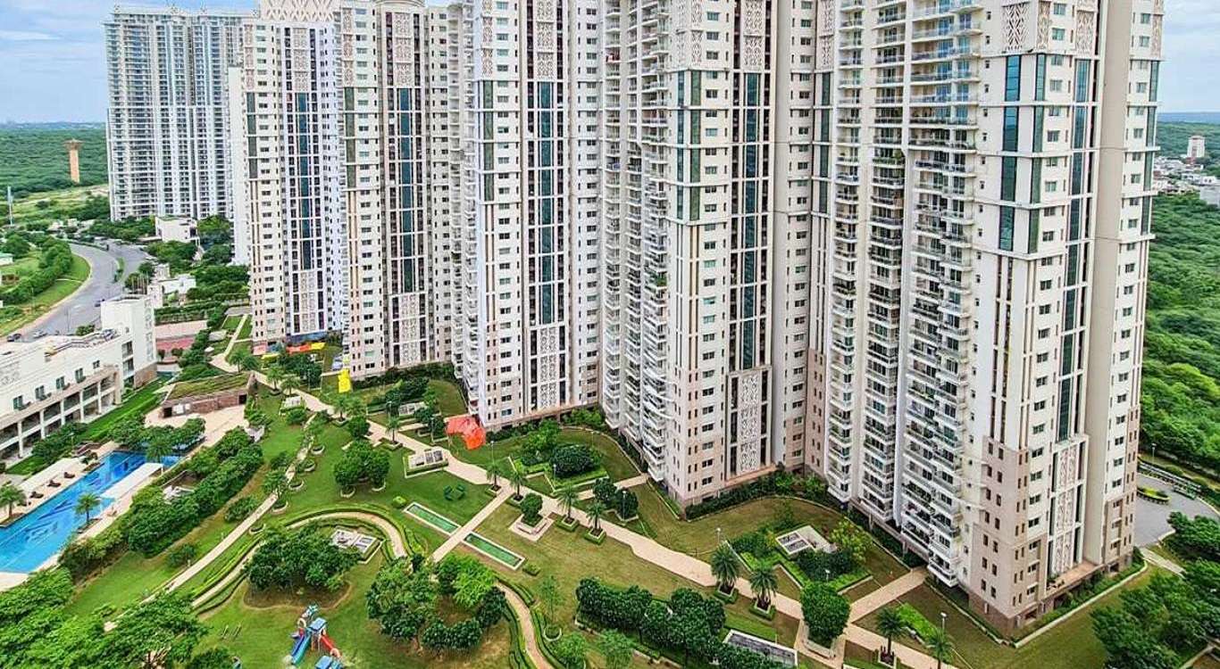DLF Icon