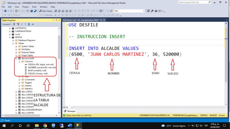 Insertar Datos En Una Base De Datos Insert Into Values - Premium Sunset Design Gallery - 8K