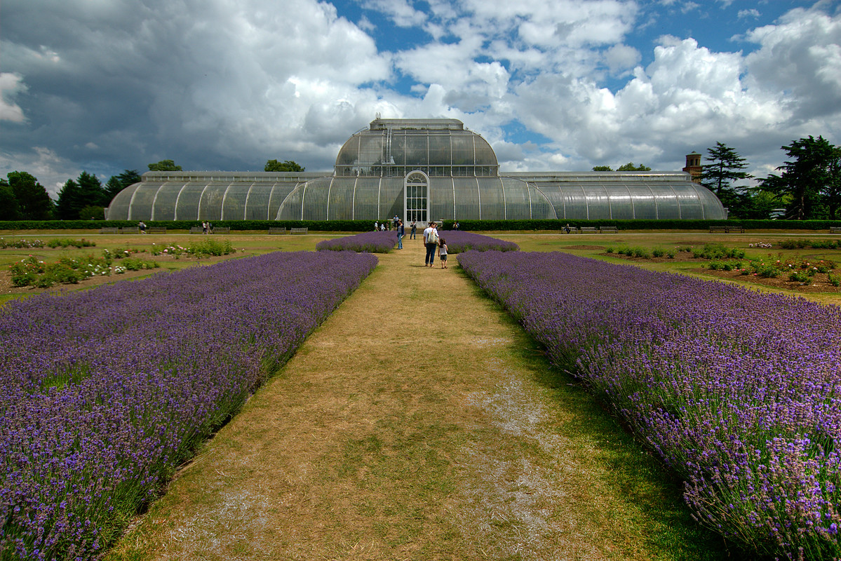 kew gardens