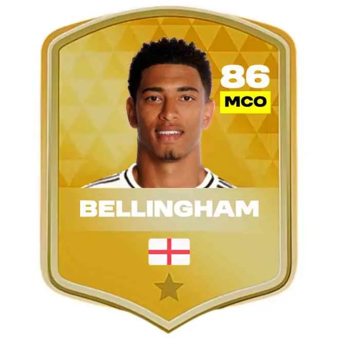 DLS-25-New-Bellingham-Card