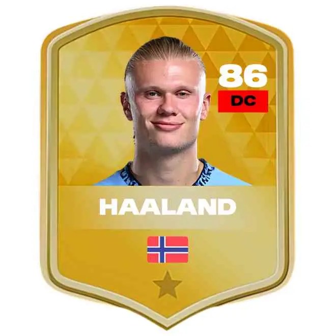 New-Haaland-Card-DLs-25