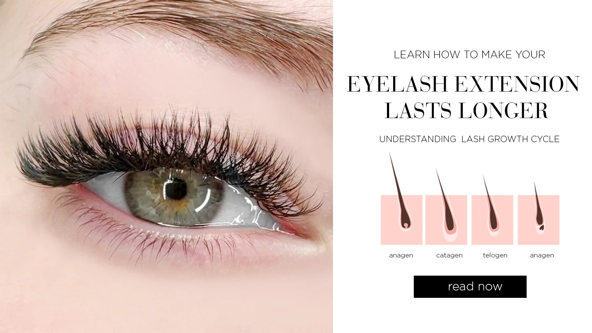 Dlux Growth Serum Mastering The Eyelash Growth Cycle For Natural Lash