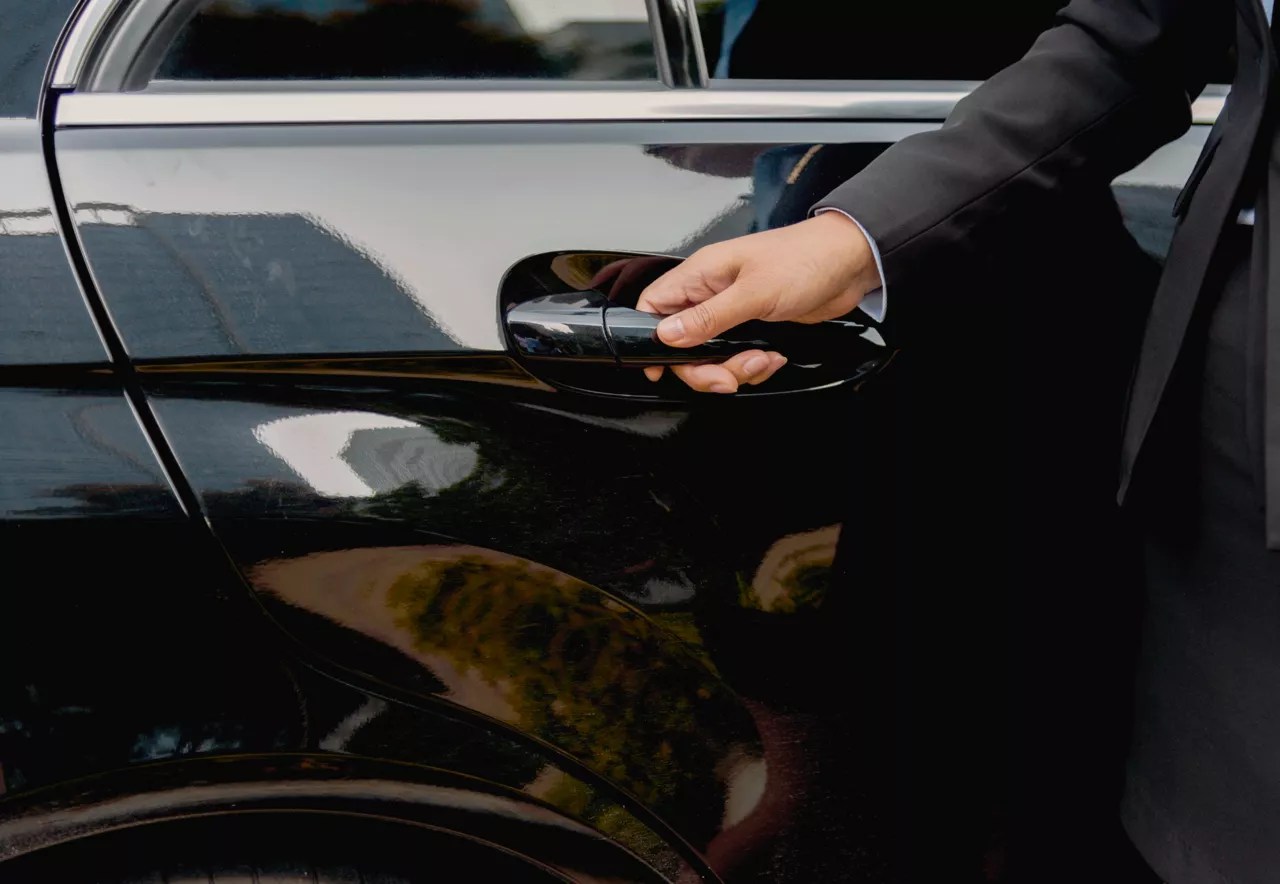 Explora Club - Premium Gradient Picture Gallery - 8K