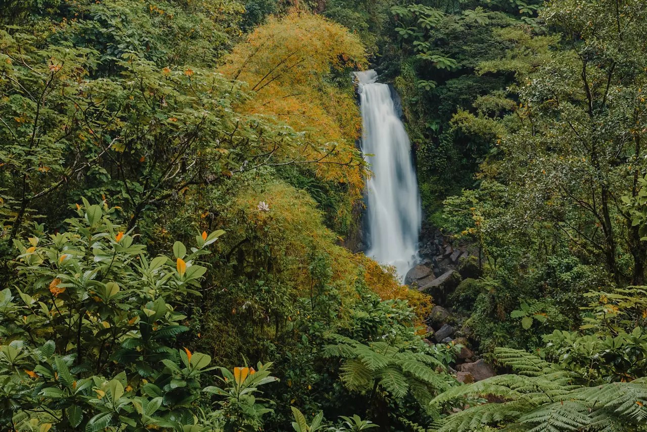 Destination Experiences - Perfect Sunset Photo - Full HD