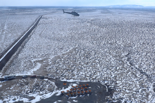 Telescope Array surface detectors