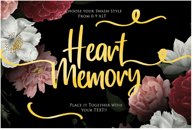Heart Memory Aesthetic Font