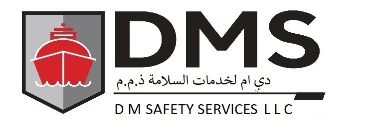 DMS LOGO