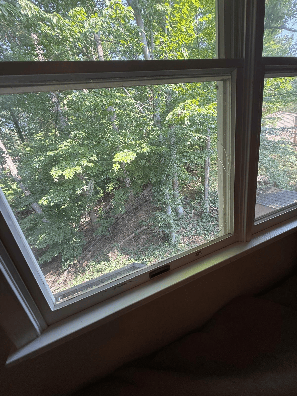 window glass