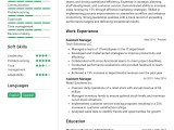 Assistant Manager Cv Example For 2024 How To Create A Professional Cv