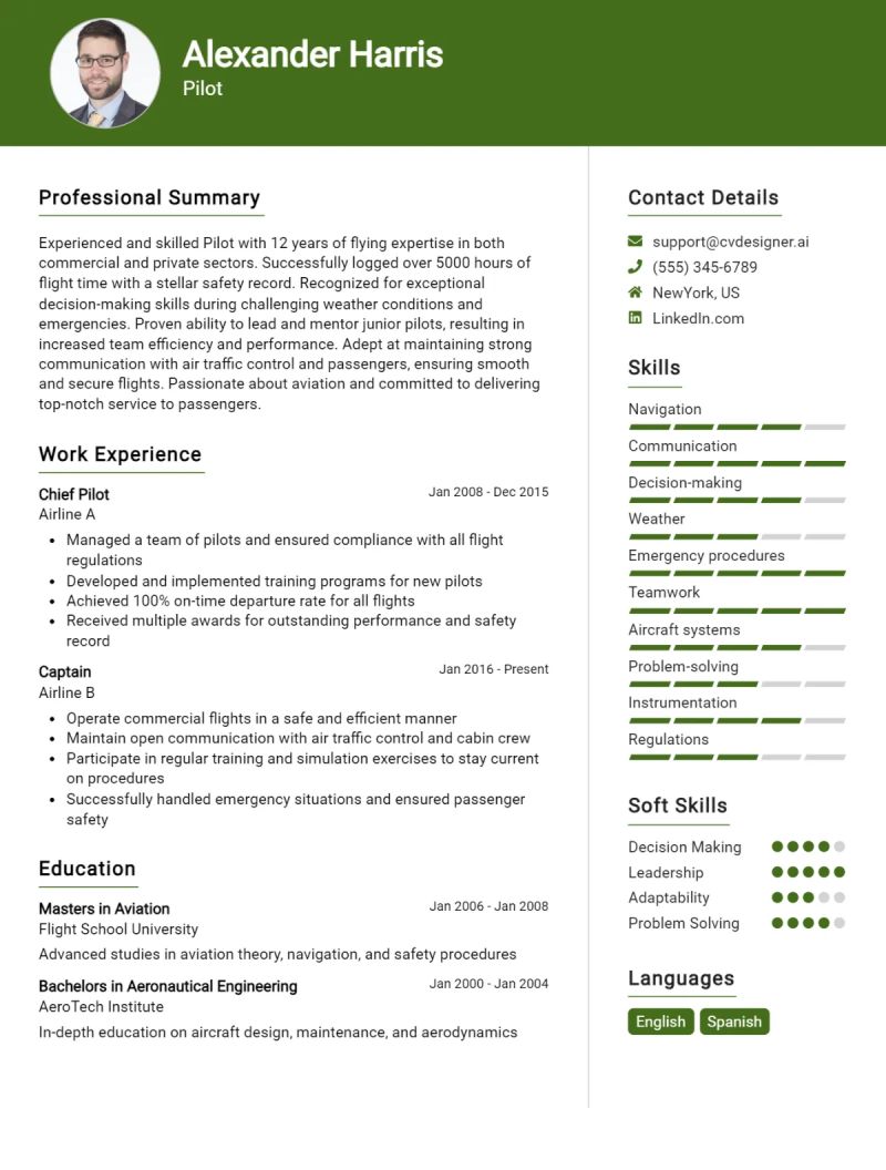 Pilot Cv Examples Guide For 2024 - Desktop Mountain Pictures for Desktop