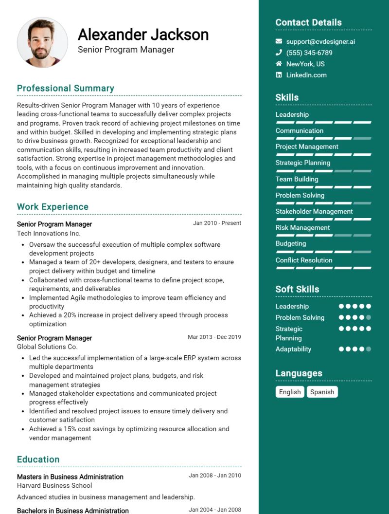 Senior Program Manager Cv Examples Template 20 Tips - Dark Picture Collection - Mobile Quality