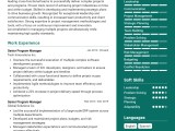 Senior Program Manager Cv Example For 2024 Free Downloadable Templates