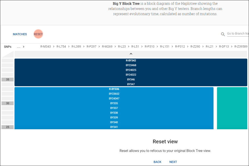 Family Tree DNA’s New Big Y Block Tree | DNAeXplained – Genetic Genealogy