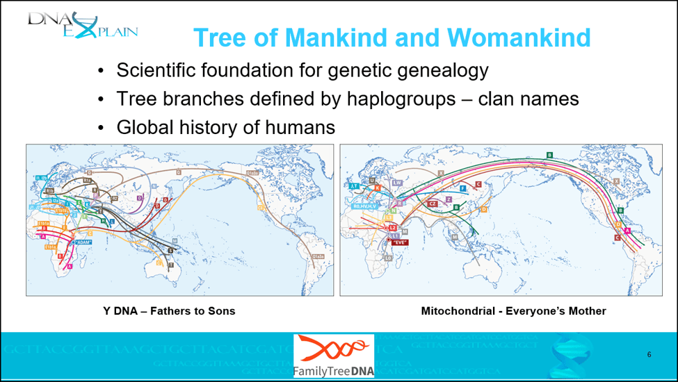 The Million Mito Project | DNAeXplained – Genetic Genealogy