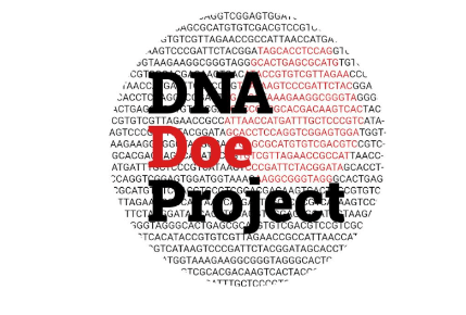 DDP logo