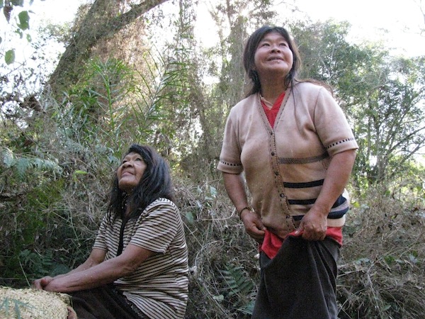 They have been influenced by the hispanic culture since colonial times, but. Language Dobes