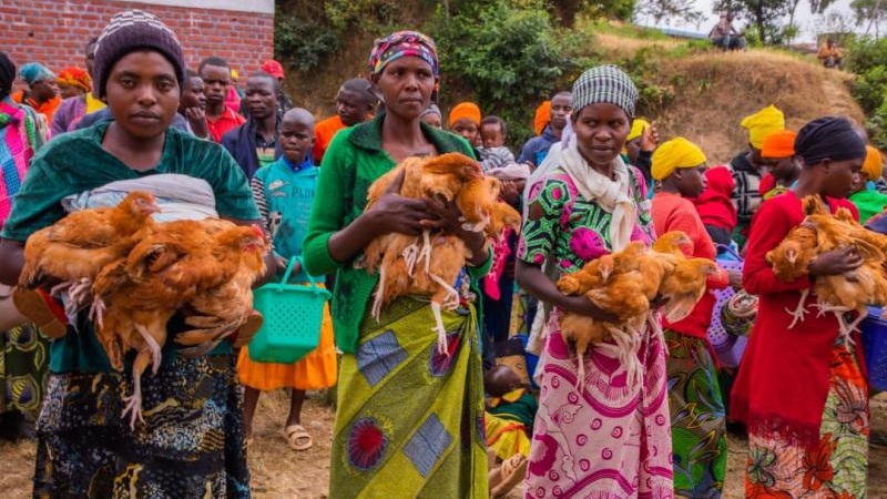 Cztery kury, warzywnik i wiedza o żywieniu. W Rwandzie rodziny wychodzą z niedożywienia
