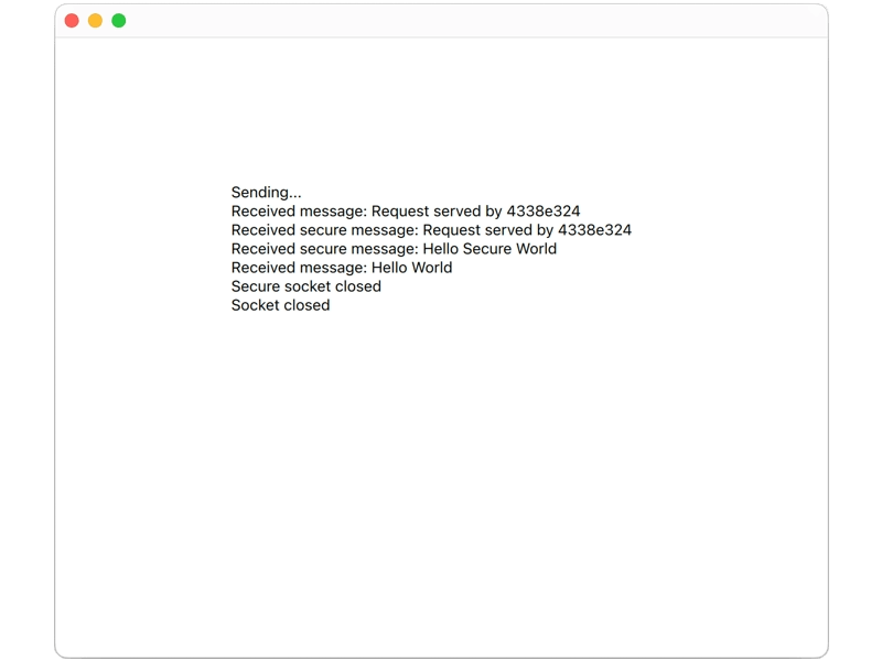 Websocket Echo Client Qt Websockets 6 8 4 - Download Classic Vintage Image | Mobile