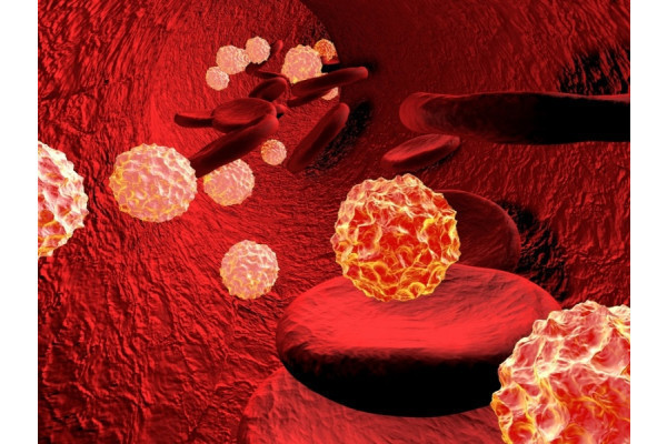 Arn vhd (viremie hepatita delta) . Incarcatura Virala Viremia In Hepatita C