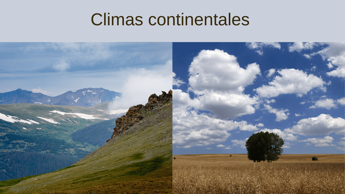 Climas continentales