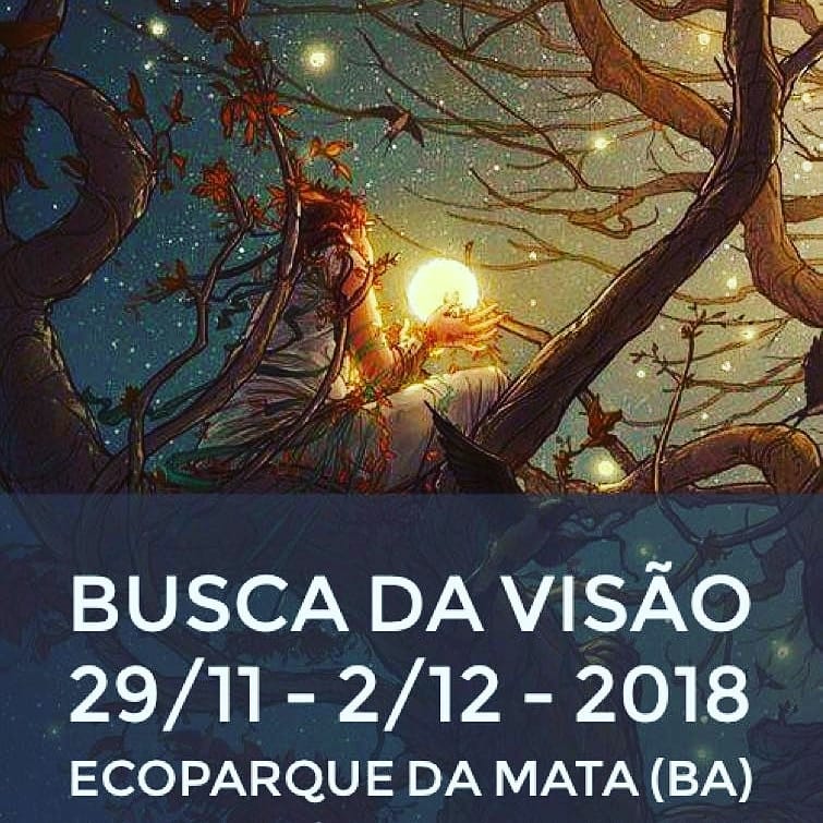 Busca da visao 0.