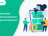 Enterprise Mobile Application Development Strategy And Architecture